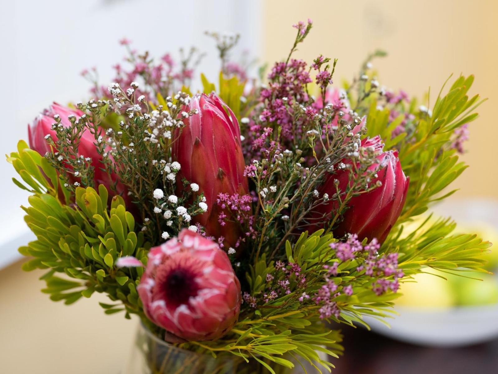Mediterranean Villa Guesthouse Cape Town Rom bilde